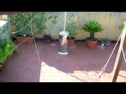 Sitting in the Palmtree