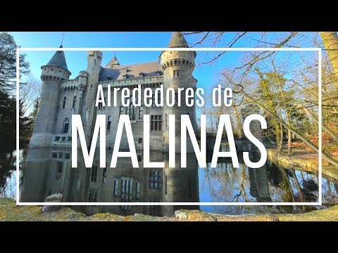 Video de Malinas y sus alrededores
