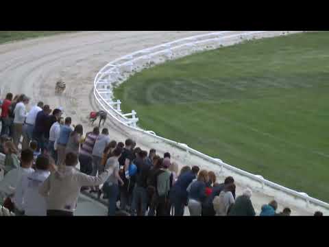 2022.05.06. 01. futam - Kincsem Food Truck Show