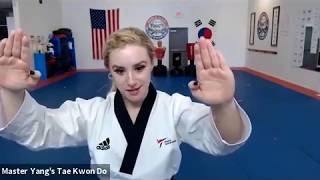 Live Class - Yellow Belt - 5.14.20 @ 3:30pm