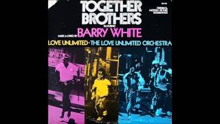 Barry White - Theme From Together Brothers