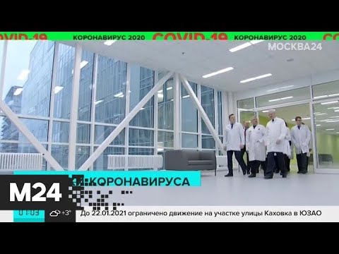 Специальный раздел о профилактике коронавируса появился на mos.ru - Москва 24