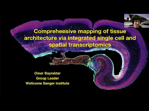 Comprehensive mapping of tissue architecture via integrated single cell and spatial transcriptomics