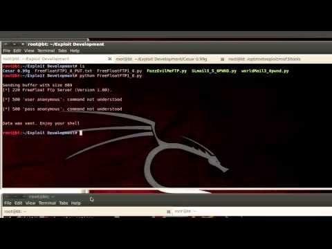 Freefloat FTP Server ANY Command Buffer Overflow