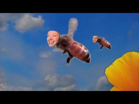 Nice Marmot - Sneeze In The Breeze (Official Music Video)