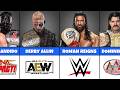 All Current World Champions In Wrestling 2026 WWE AEW TNA ROH NJPW And More