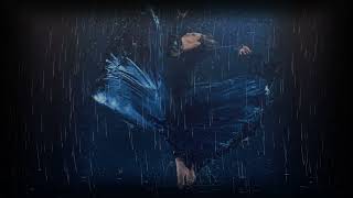 DK STATION - ��������