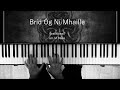 Bríd Óg Ní Mhaille