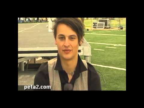 The Matches' Shawn Harris