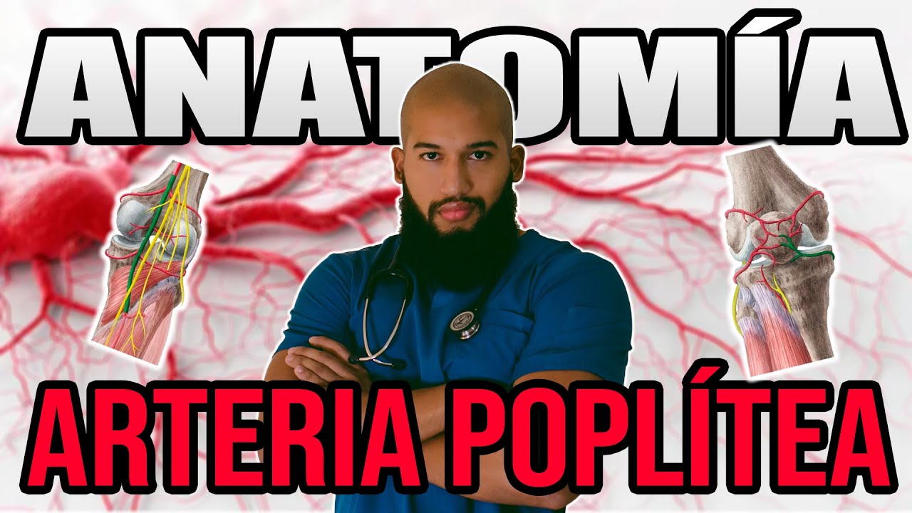 ANATOMIA - ARTERIA POPLITEA (Origen, Trayecto y Relaciones, Ramas Colaterales, Red Peripatelar)