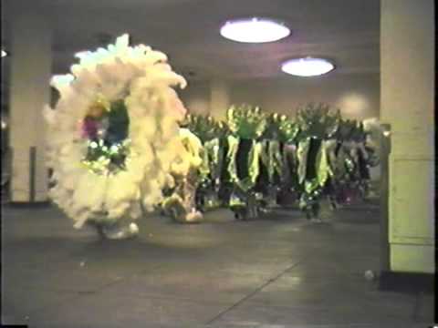 1988 Woodland String Band This Buds For You - Show of Shows Pit