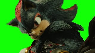 Shadow the Hedgehog “the more you talk, the harder I wanna hit you” green screen
