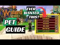The Beginner S Guide To The Perfect Pet 2023 Wizard101