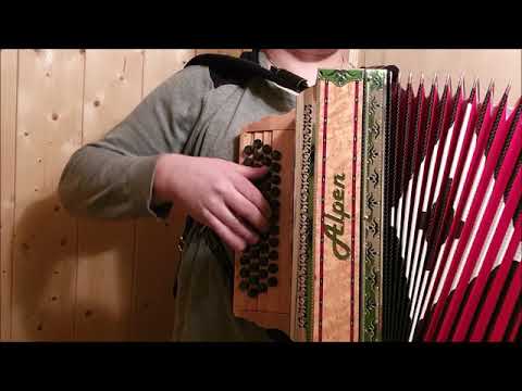 Alpen Harmonika Classic Vogelaugenahorn G C F B