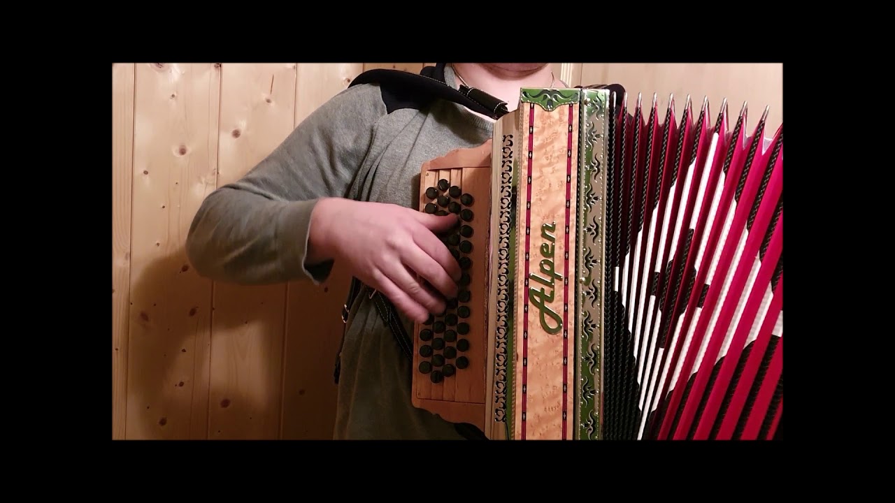 Steirische Harmonika Alpen Classic "Vogelaugenahorn" G C F B