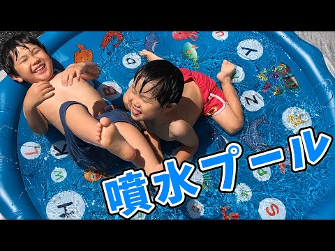 toit-terrasse-bois-pergola-jardin-aquatique-métal