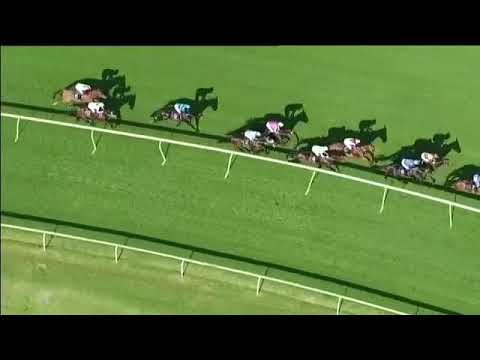 2019.05.04 Gerald Rosenberg Stakes (RSA) - Return Flight