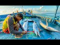 OMG! Biggest Marlin Caught In The Deep Sea On The Fourth Day | Day-04 | Deep Sea Fishing | EP-05