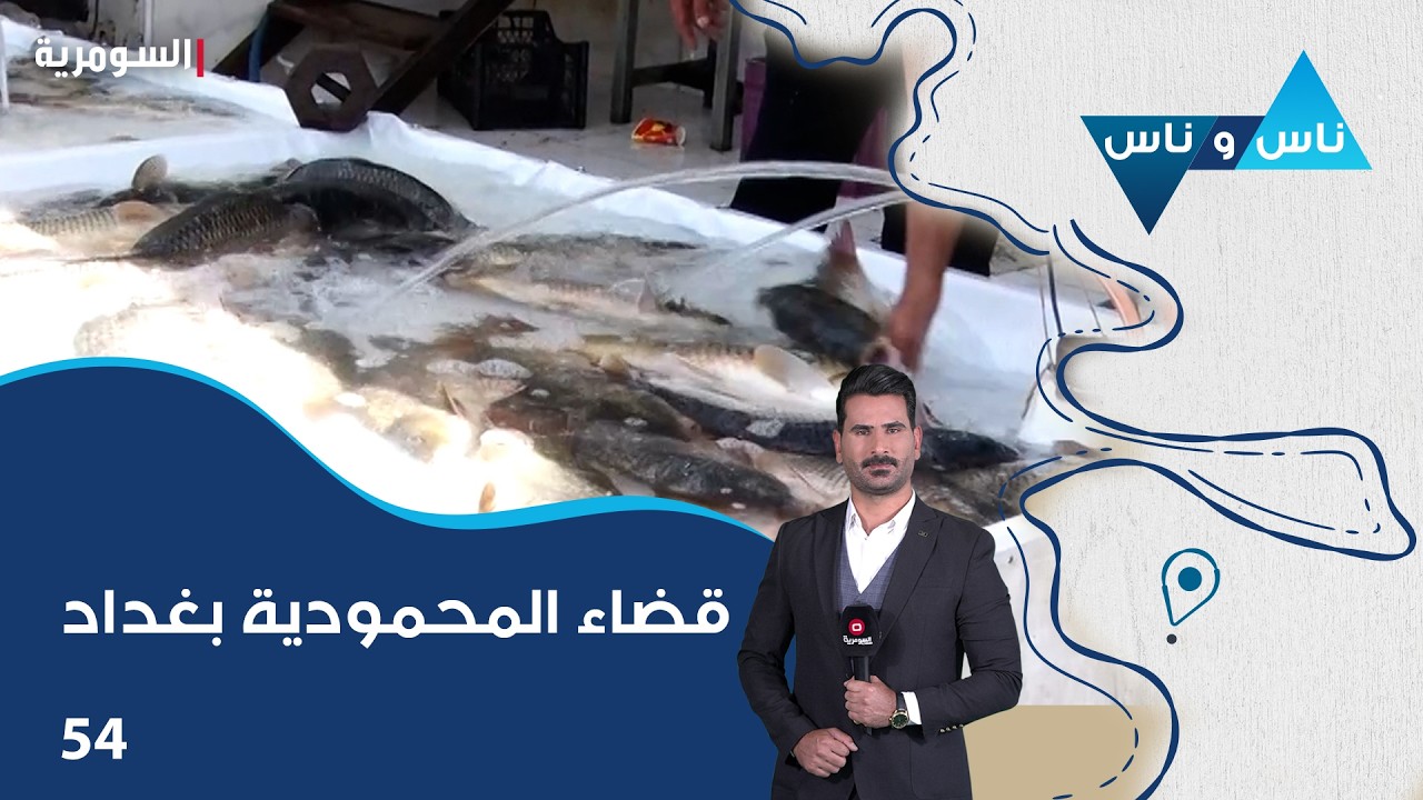 فيديو | قضاء المحمودية بغداد - ناس وناس م٩ - الحلقة ٥٤