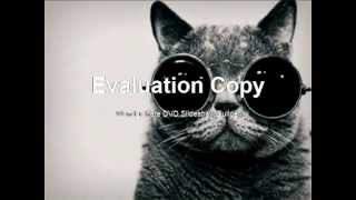 Diego Garcia - Stay (Gnotes mix)