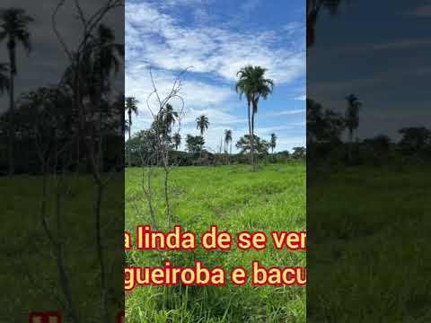 143 alqueires de pura cultura em Mutunópolis Goiás!