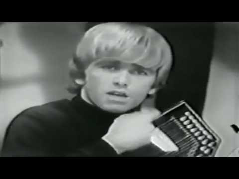 ELECTRIC PRUNES - I HAD TOO MUCH TO DREAM (LAST NIGHT)
