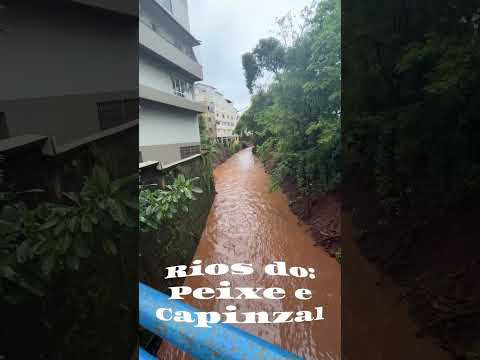 Capinzal na Santa e bela Catarina.