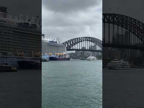 Thumbnail for The ferry and the Cruise 🚢 #sydneyview #harbourbridge