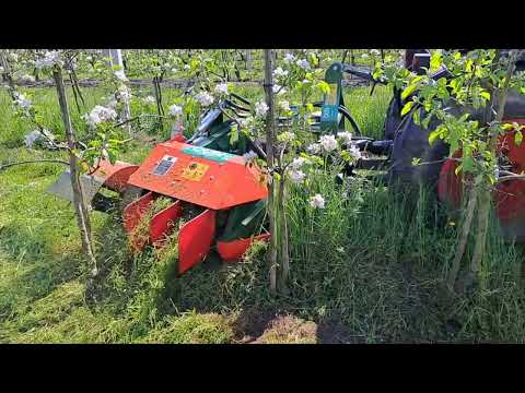 DISERBATRICE MECCANICA PER VIGNETI E FRUTTETI  /  MECHANICAL WEEDER FOR VINEYARDS AND ORCHARDS