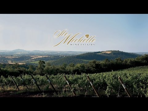 Ste Michelle Wine Estates- Thom Horsey