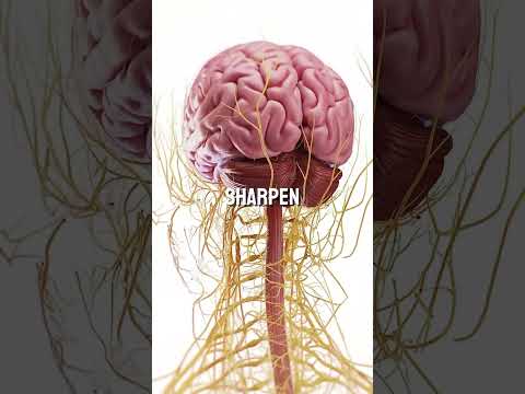 What Happens If You Eat 3 Dates a Day for 7 Days