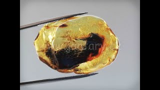 Okno do baltského jantaru PO-30