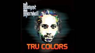 On the Corner - Wayne Marshall (Official Audio)