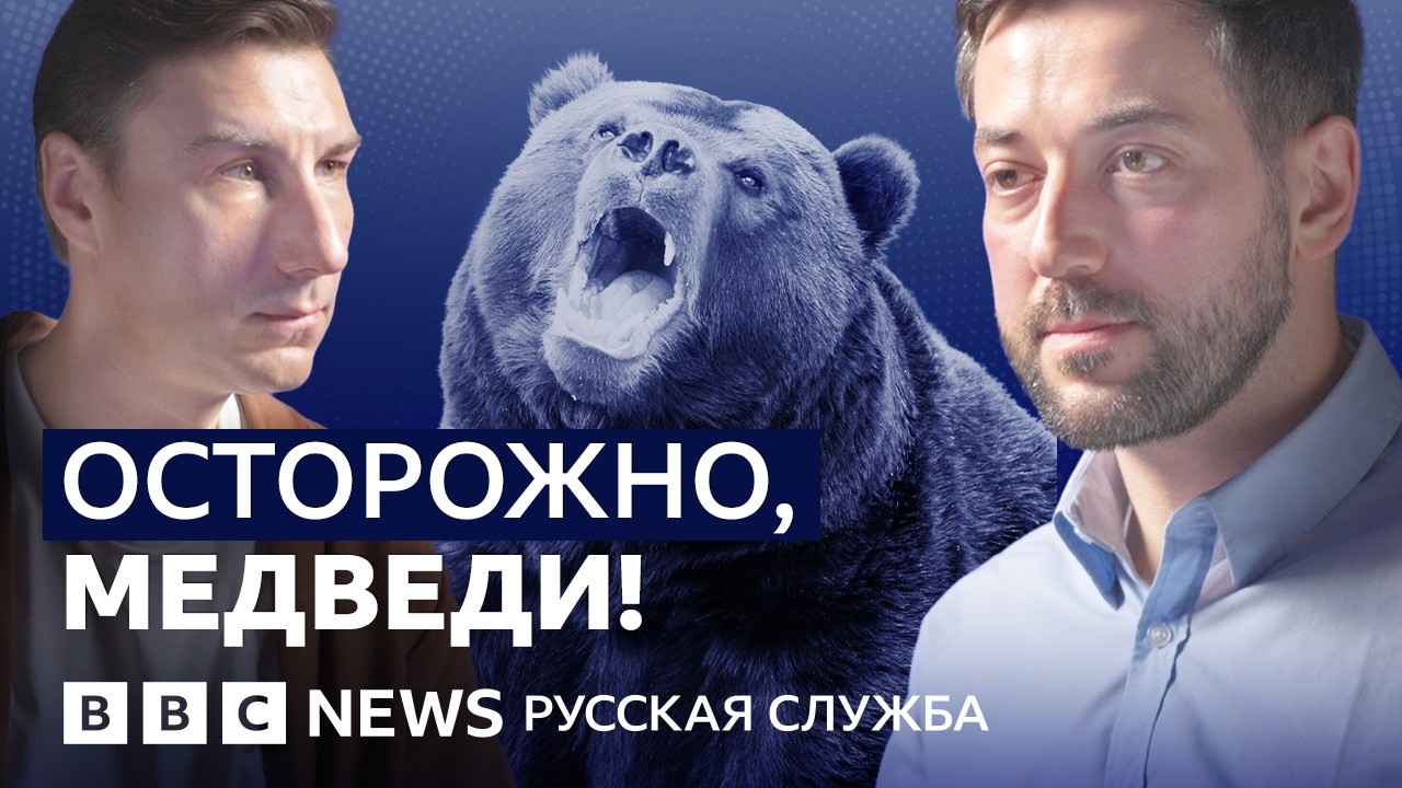 Жителям России угрожают медведи? | Видеоподкаст «Что это было?»