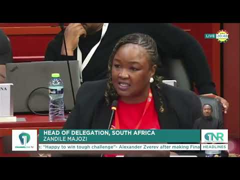 South Africa Abstains From African Family Charter Over Marriage Definition