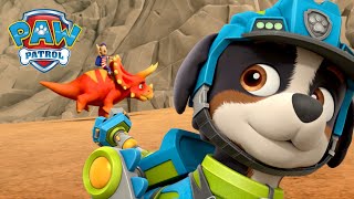 Dino Rescue Pups save the Turbots from a Triceratops! | PAW Patrol | Cartoons for Kids Compilation