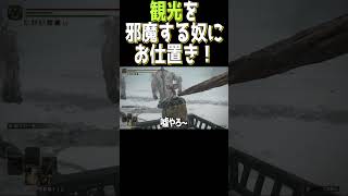 【エルデンリング切り抜き】観光を邪魔する侵入者にバットでお仕置き#shorts #eldenring #twitch