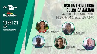 Uso da tecnologia sulco-camalhão na produção de soja e milho irrigados em rotação com arroz