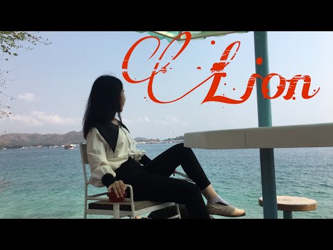 (G) DLE Lion Dance Cover