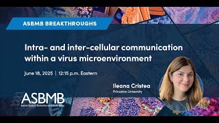 Intra- and inter-cellular communication within a virus microenvironment