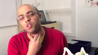 Larynx Anatomy (1 of 5): Cartilages and Membranes (Part 1) - Head and Neck Anatomy 101