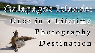 Photography in the Galapagos - What to Expect