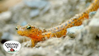  home to countless plants