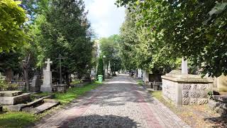 Lviv 12 0036 D