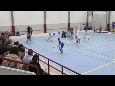 Blue Fox - ÅIF la 5.1.2013