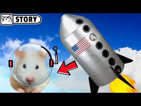 Rocket hamster maze 🐹 Spaceship playground 🐹 Homura Ham