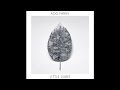Sing for the Wind [Album Version] by Roo Panes ...