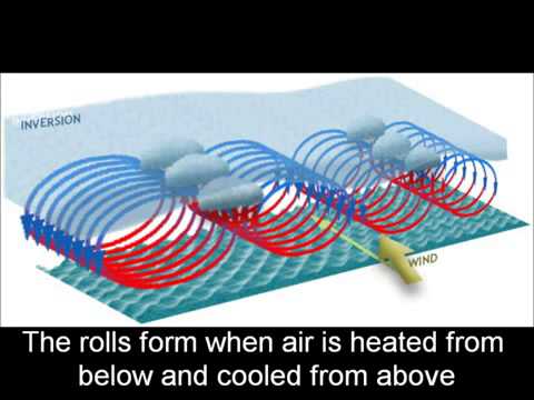 An Introduction to Chaos Theory with the Lorenz Attractor