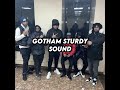 Gotham Sturdy Sound From TikTok Full Audio