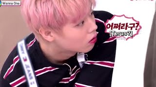 Download lagu VARIETY SHOW: AMIGO TV WANNAONE SUB INDO PART 2 mp3